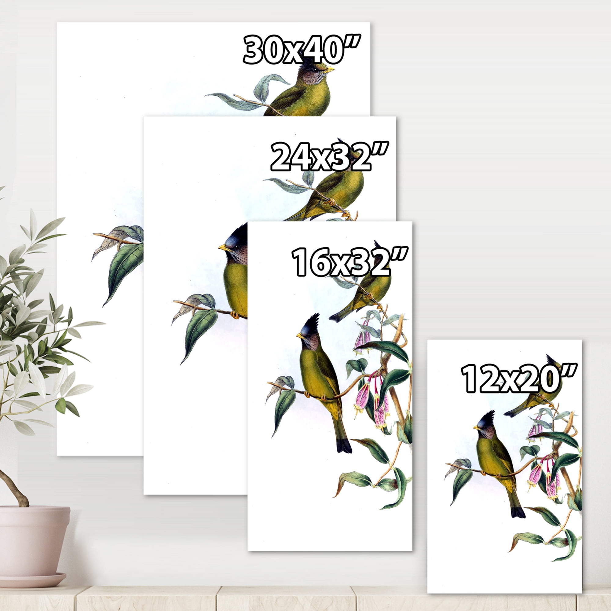Designart ' Vintage Countryside Birds On Branch II ' Farmhouse Canvas Wall Art Print