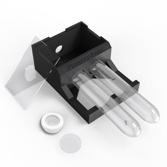 Ant Nest Small Farm House for Behavior Study - Live Ants for Ant Farm for Adults Harvester Ants Terrarium Educational Formicarium