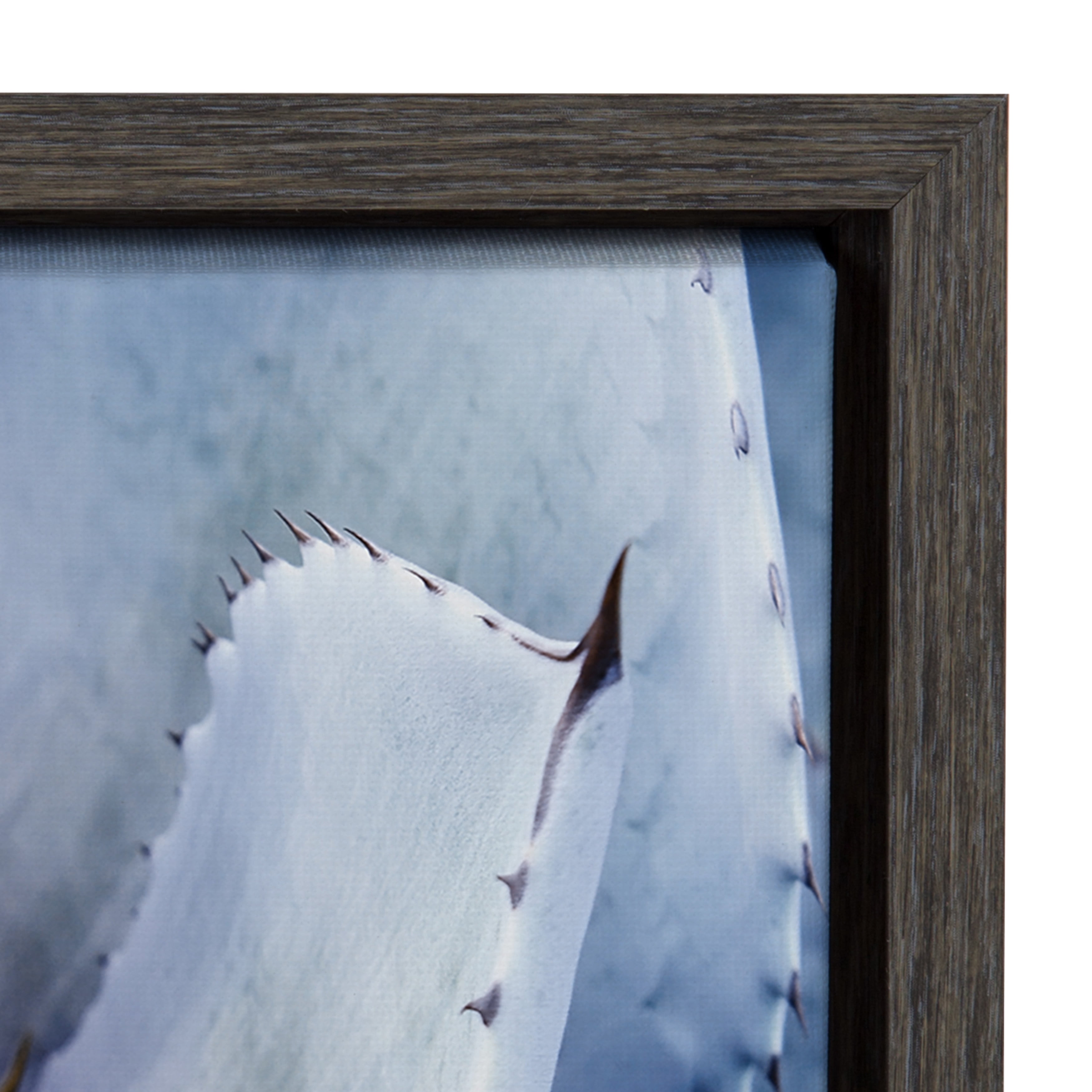 Kate and Laurel Sylvie Violet Cactus Succulent Lavender Purple Framed Canvas Art by Amy Peterson, 18x24 Gray