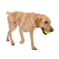 thumbnail image 4 of West Paw Zogoflex Jive XS 2" Dog Toy Granny Smith, 4 of 5