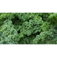 thumbnail image 4 of Hale Habitat & Seed Kale Food Plot Seed, 5 lbs, 4 of 4