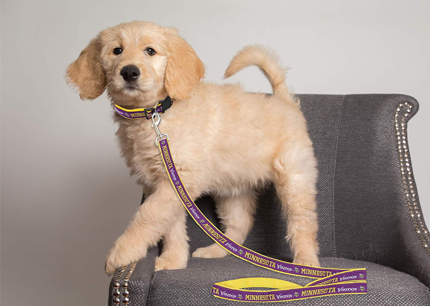 Pets First NFL Minnesota Vikings Heavy Duty and Durable Dogs and Cats Sports Leash - Small