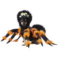 thumbnail image 1 of Costume d'Araignée pour Animaux, Moyen, 1 of 1