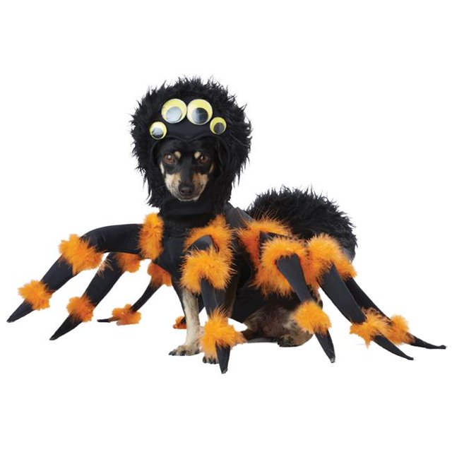 Costume d'Araignée pour Animaux, Moyen