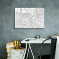 thumbnail image 4 of Epic Graffiti 'Coloring Book Octopus' by Epic Portfolio, Canvas Wall Art, 26"x18", 4 of 8