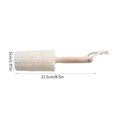 thumbnail image 3 of Cepillo Para Manchas De Aceite Cepillo de esponja vegetal para limpiar tazas, vasos y botellas con mango resistente y asa para colgar Yulucky, 3 of 9