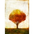 thumbnail image 2 of Roko, Ken 11x14 Black Ornate Wood Framed with Double Matting Museum Art Print Titled - Autumnal Tree 2, 2 of 4