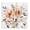 Shabby Chic Floral Botanicals_v3, variant on Stupell Industries Contemporary Energetic Florals on White Canvas Art, 17 x 17, by Carol Robinson