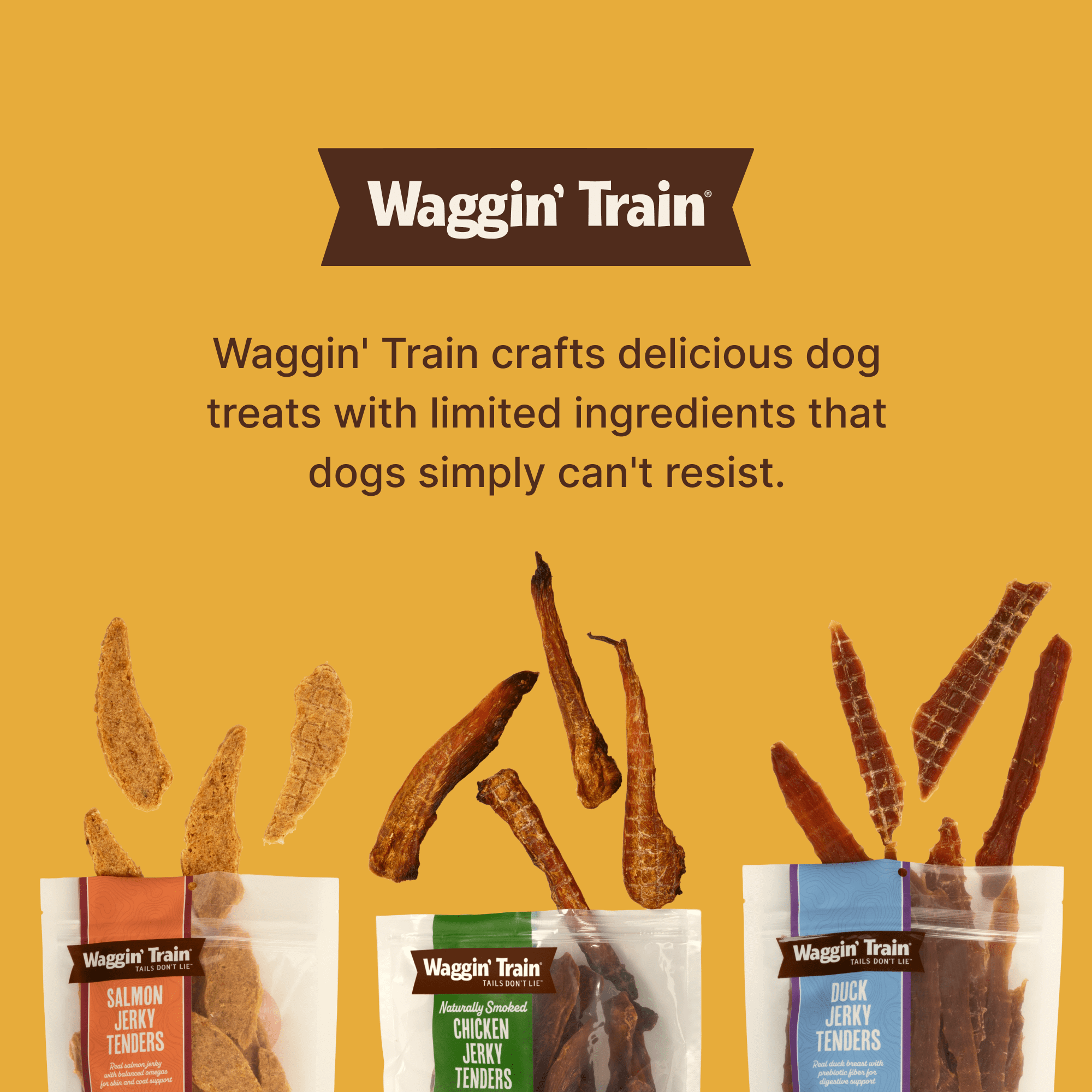 (2 pack) Waggin Train Wgn Trn Chicken Jerky Tender