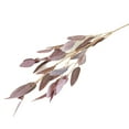 thumbnail image 4 of Artificial Plant Realistic Looking No Watering Non-Withered Plastic 5 Forks Simulation Green Eucalyptus Leaves with Fake Beans Home Decor-Coffee, 4 of 6