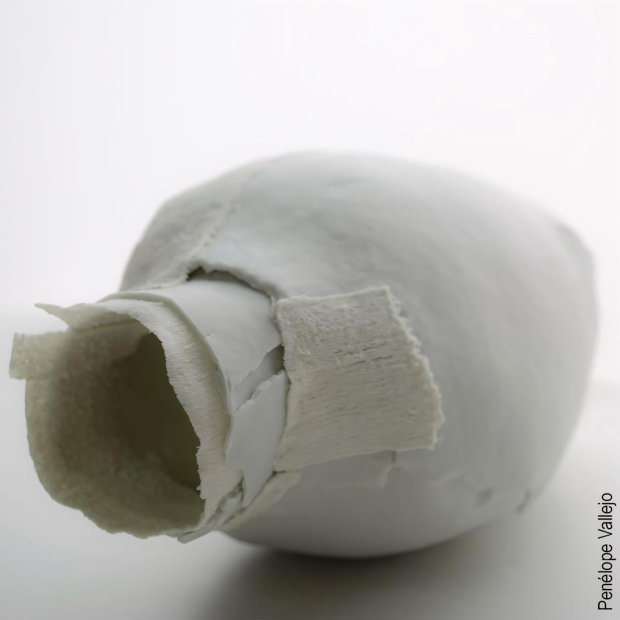 SIO-2 Cellulain Paper Porcelain Ceramic Pottery Clay - 3.5 lb