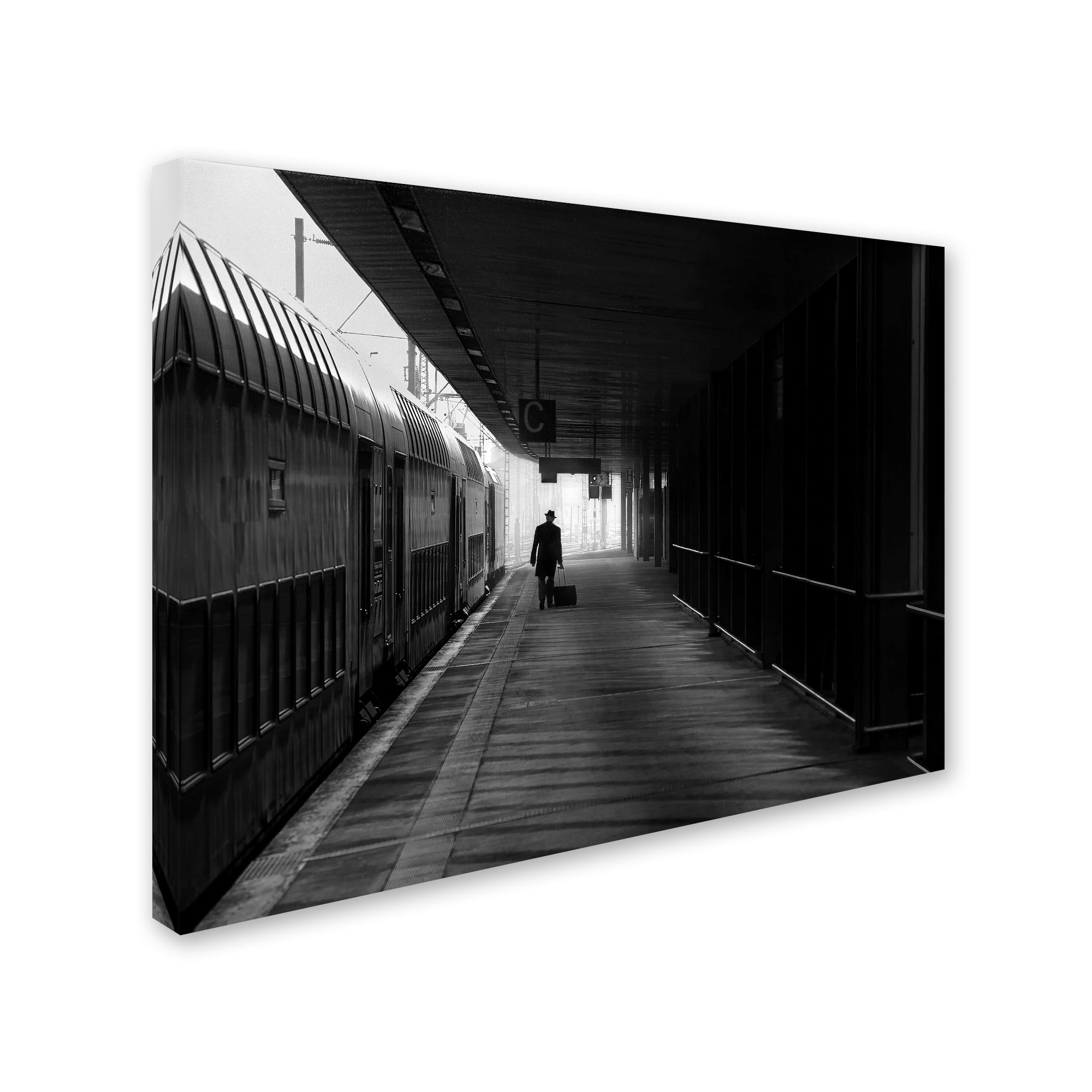 Trademark Fine Art 'Passenger' Canvas Art by Christoph Hessel
