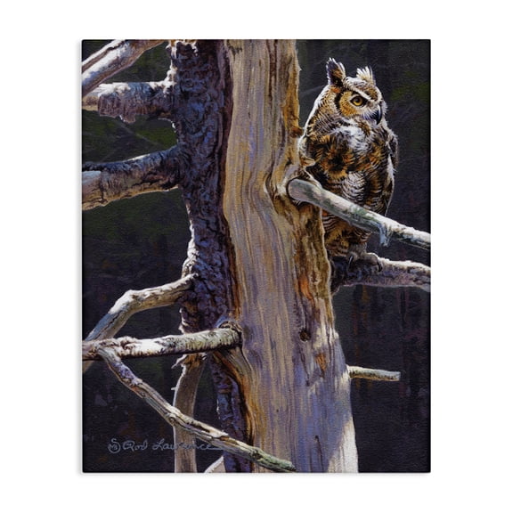 Stupell Industries Farmhouse Owl in Rustic Tree Canvas Art, 16 x 20, by Rod Lawrence