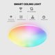 thumbnail image 3 of leyfeng Luz de techo inteligente Lámpara de techo Wi-Fi de montaje empotrado de 15 W de 11 pulgadas 2700K-6500K Blanco y RGB multicolor, 3 of 8