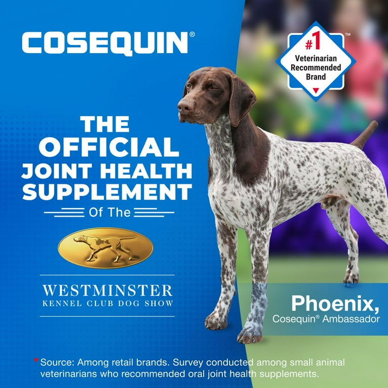 Nutramax Cosequin Dog Joint Health Supplement, MSM & Omega-3s, 120