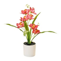 7 Head Cymbidium Potted Bonsai Decorate Your Living Room Desk with 7 Head Cymbidium Elegant Potted Bonsai Fresh Home Flower Decor to Enhance Vitality