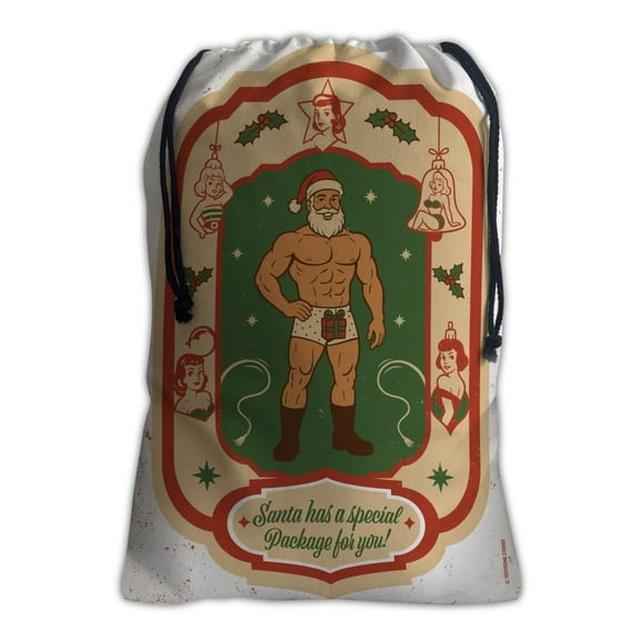 Santa Has A Special Package For You Santa Sack Holiday Gift Bag with Drawstring, Burlap, 25 x 19 inches, Large Present Bag