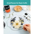thumbnail image 3 of Kit de flores secas Resiners, juego de 100 piezas prensadas de forma natural, 3 of 9