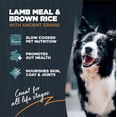 thumbnail image 3 of Blackwood Sensitive Skin & Stomach Lamb Meal & Brown Rice with Ancient Grains Dry Dog Food, 4.5 lb Bag, 3 of 8