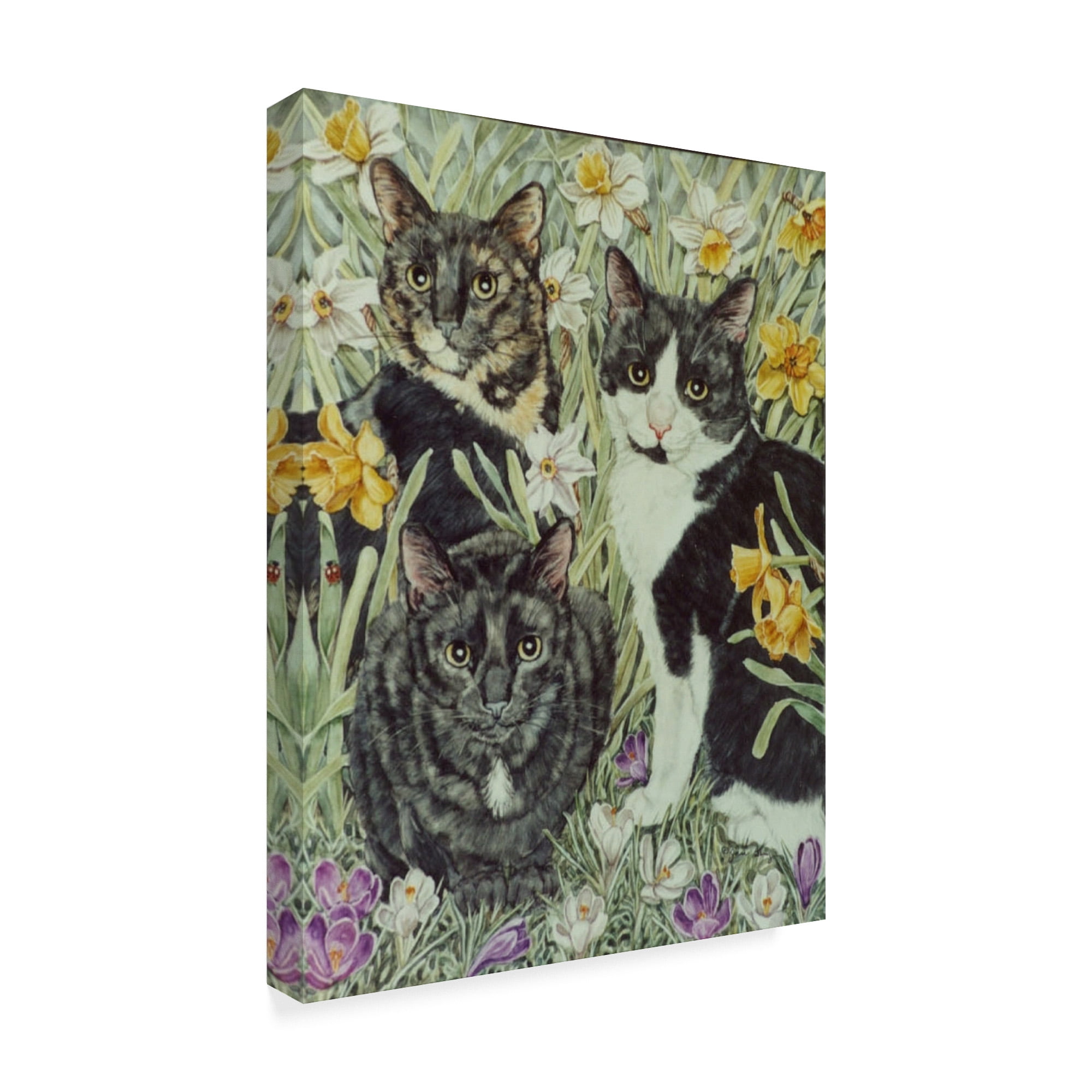 Trademark Fine Art 'The Trio' Canvas Art by Jan Benz
