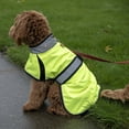 thumbnail image 2 of Light Up LED Waterproof Reflective Trim Dog Jacket with Belt & Harness Compatible Opening, 2 of 8