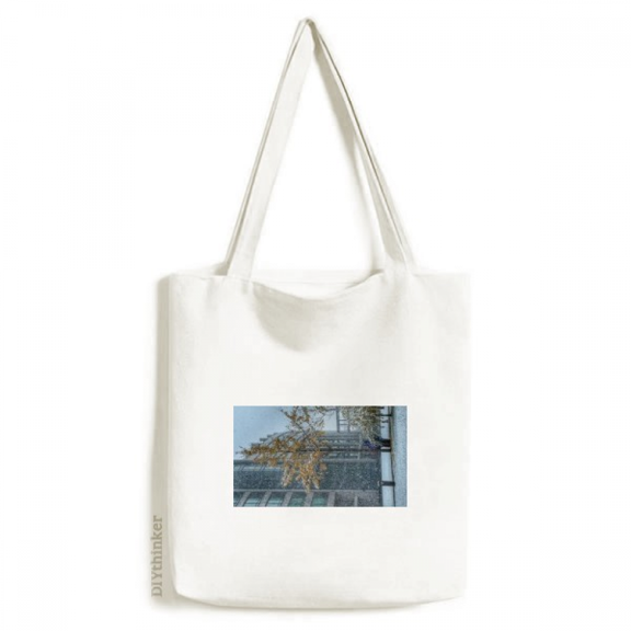 Snowscene City Photography Tote Canvas Bag Shopping Satchel Casual Handbag