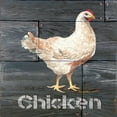 thumbnail image 2 of Jacobs, Cindy 12x12 White Modern Wood Framed Museum Art Print Titled - Chicken, 2 of 4