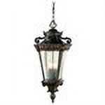 Trans Globe Lighting 4843 Patina Four Light Up Lighting Outdoor Pendant From The Outdoor - image 2 of 2