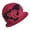 Red, variant on Womens Beach Hat Women Floral Wool Cloche Hat 1920S Vintage Winter Hat Pink One Size