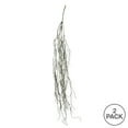 thumbnail image 3 of Vickerman 37" Artificial Gray Trailing Succulent Bush, Pack of 2, 3 of 3