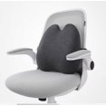 thumbnail image 3 of Almohada lumbar densa – Soporte de espalda firme ergonómico patentado multiregión para aliviar el dolor de espalda baja – Cojín de apoyo lumbar con correa para silla de oficina, coche, sofá, avión – Gris Sailing Electrónica, 3 of 5