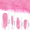 thumbnail image 5 of 400PCS Pink Feathers 3-7 inch, 4 Styles Assorted Feathers for DIY Crafts Wedding Halloween Costume Party Decorations Dream Catcher Supplies, 5 of 7