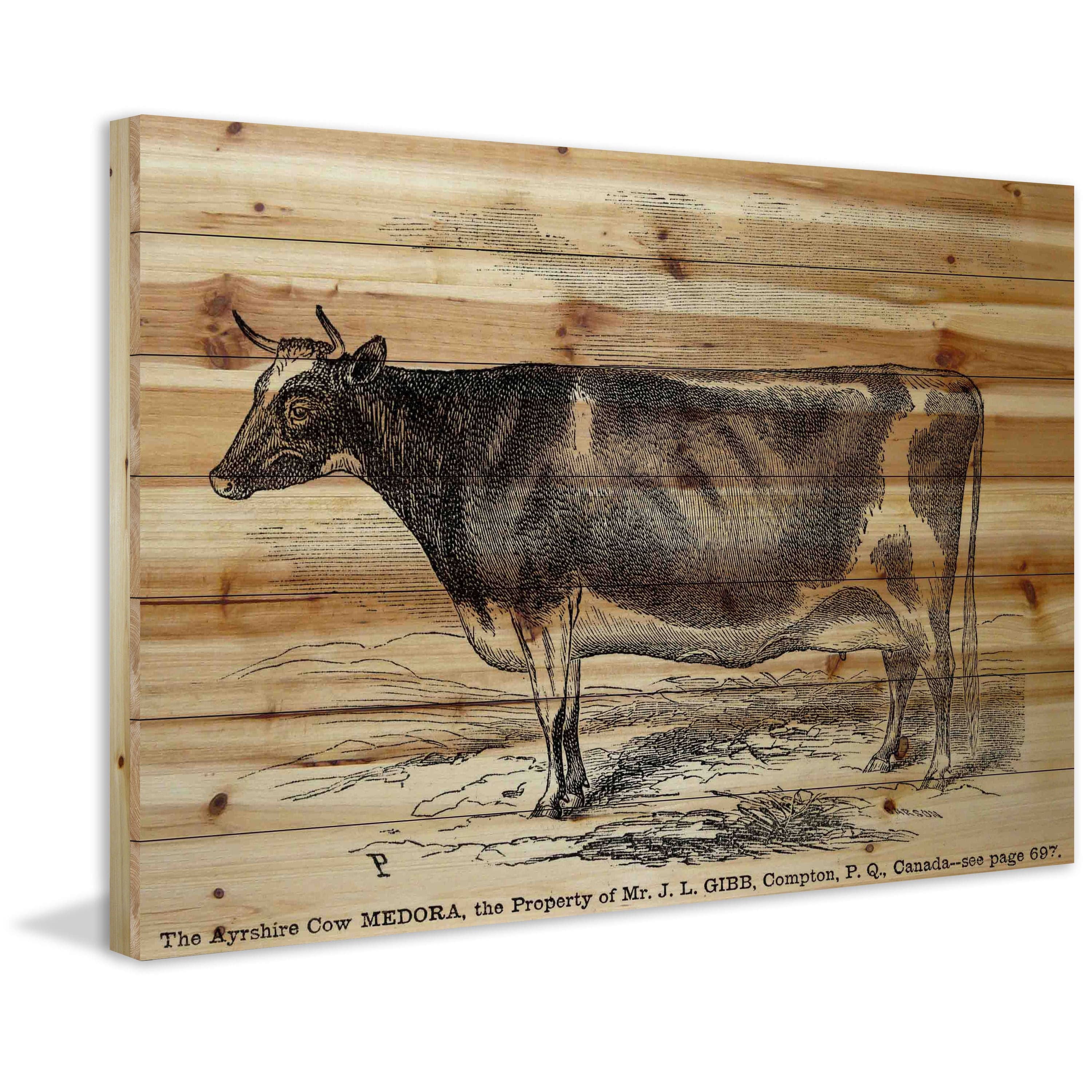 Marmont Hill "Ayrshire Cow" Painting Print on Natural Pine Wood