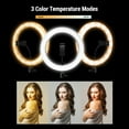 thumbnail image 3 of Amdohai RGB LED Light 10 Inches Ring Light Ringlight Lighting Kit Adjustable Colors Color, 3 of 9