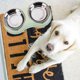 thumbnail image 5 of Elevated Dog - Plato elevado para mascotas - Comida de acero inoxidable adecuada para perros pequeños y grandes MFZFUKR CPB-YY1106-2, 5 of 5
