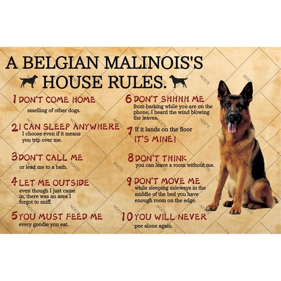 Noete Belgian Malinois Dog Rules Metal Sign Funny House Rules Tin Sign for Pet Lovers, Retro 12x16 Inch Vintage Wall Decor for Home, Office & Cafe