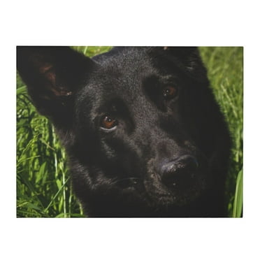 Black German Shepherd Dog Canvas Wall Art Prints Wall Art Wall Hanging Painting For Home Decor 11.8 x 15.7 in