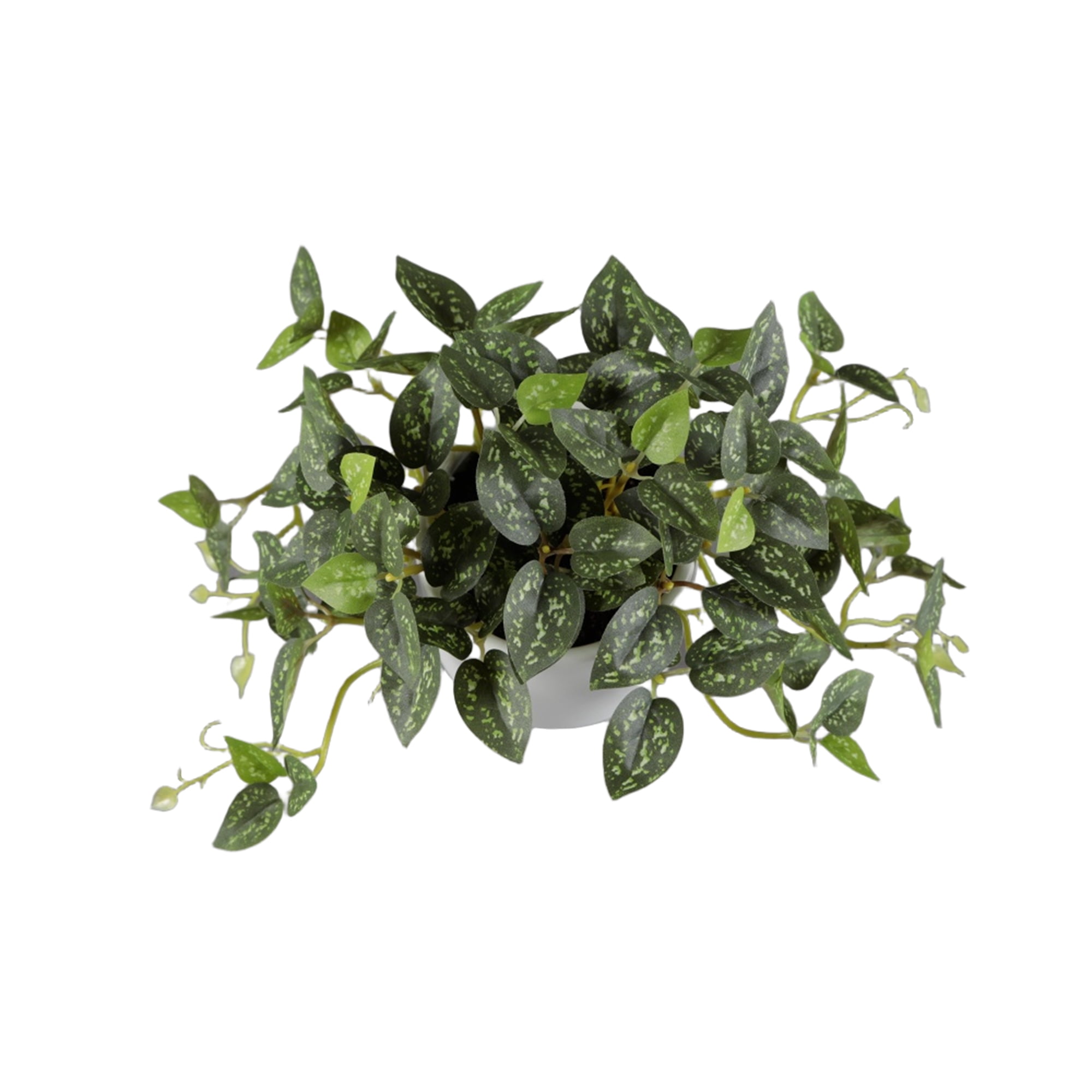 Artificial Trailing Leaf Plant in Ceramic Pot, 9 in H x 7.5 in W x 7.5 in D