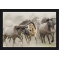 thumbnail image 1 of Wild Horses - Lantern Press Photography (24x16 Giclee Art Print, Gallery Framed, Black Wood), 1 of 1
