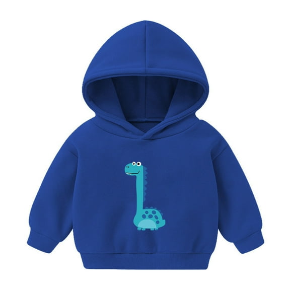 Ketyyh-chn99 Kids Sweatshirt Baby Boys Girls Cute Hooded Sweatshirt Boy Hoodies Blue,5-6 Years