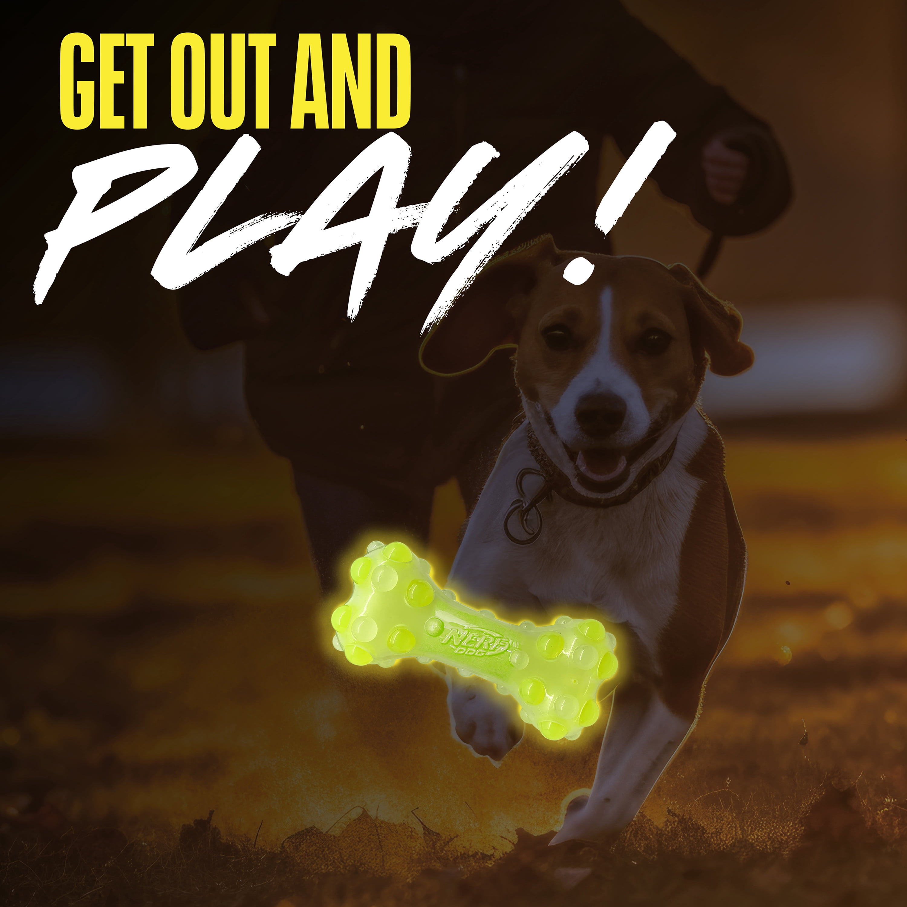 Nerf Dog TPR Squeak Glow Bubble Bone, 7 inch