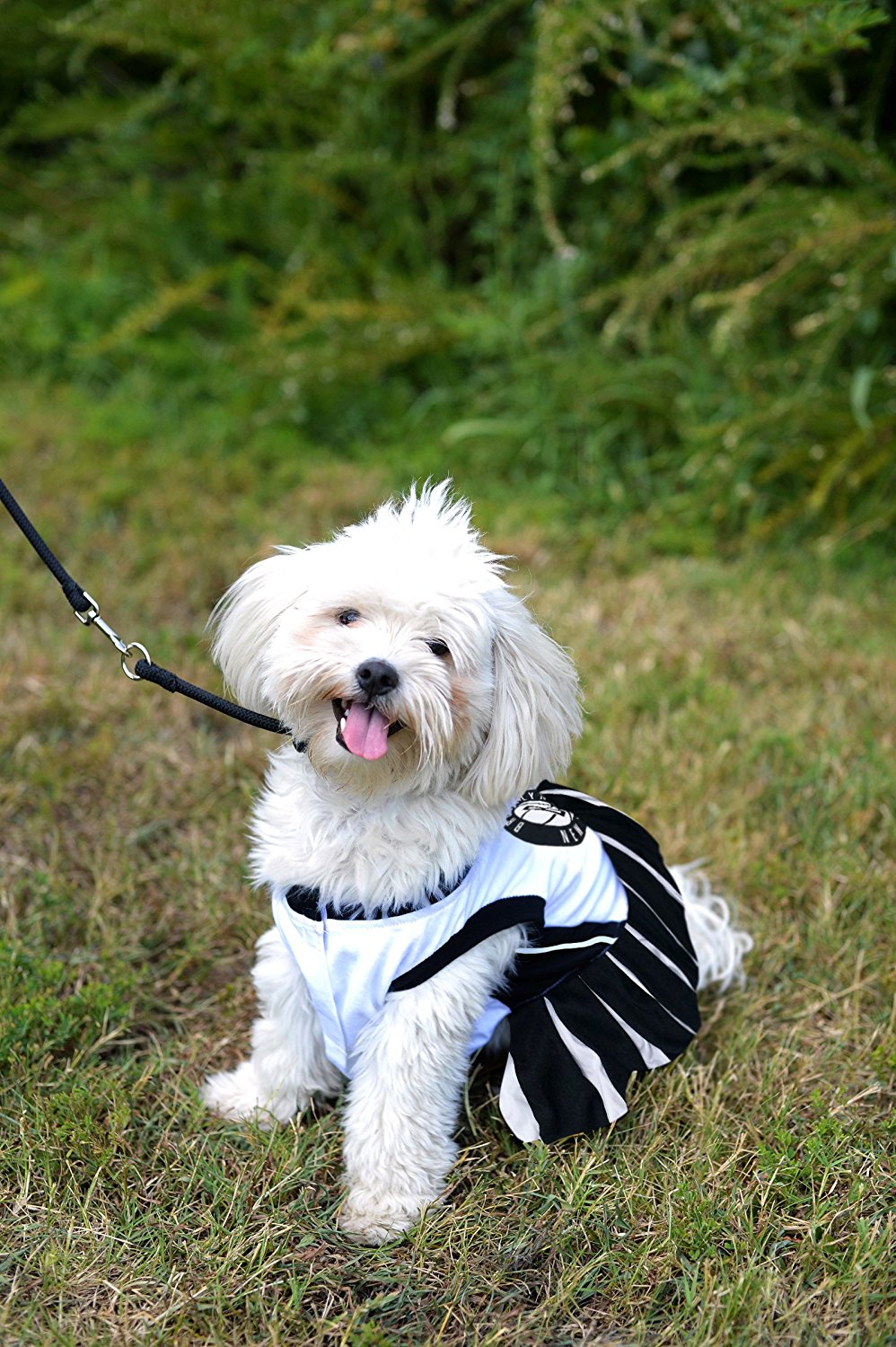 Brooklyn Nets Dog Cheerleader Outfit