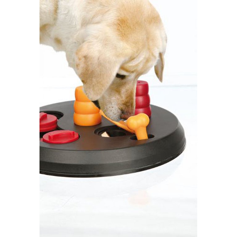 Trixie Pet Products Flip Board Level 2