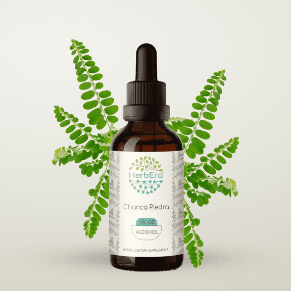 HerbEra Chanca Piedra Tincture, Herbal Dietary Supplement for Kidney Support, Chanca Piedra (Phyllanthus niruri) Dried Herb Extract, Natural, Alcohol Tincture, Drops 2 oz