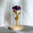 thumbnail image 4 of Eternal Rose Flower Rose Glass Dome Lámpara Led Decoración Para El Hogar Boda Navidad Día De San Valentín Methold HA027172-06, 4 of 5