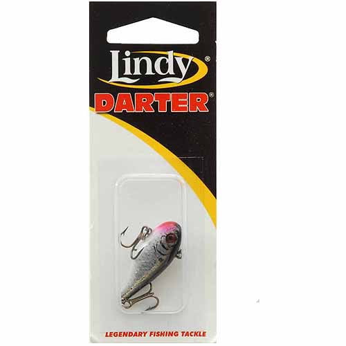 lindy darter