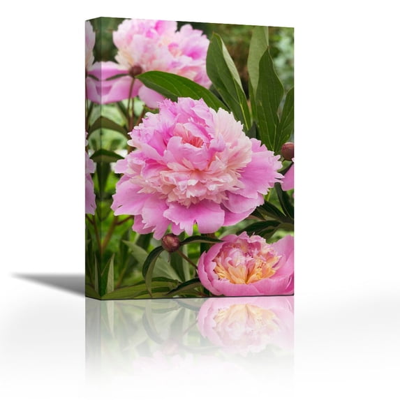 Peony mme emile debatene variety flowers - Contemporary Fine Art Giclee on Canvas Gallery Wrap - wall décor - Art painting - 23 x 36 Inch - Ready to Hang
