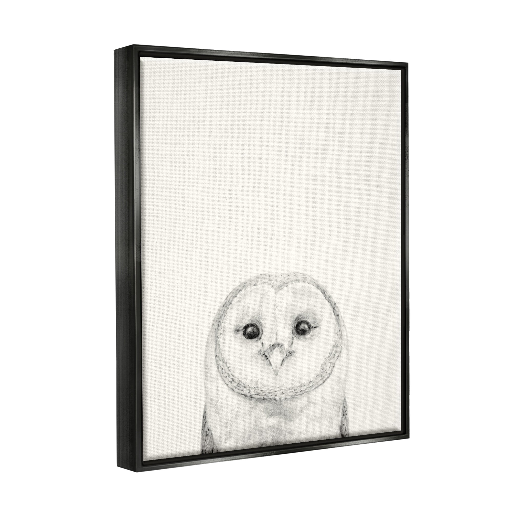 Stupell Industries Owl Portrait Grey Drawing Design Jet Black Framed Floating Canvas Wall Art, 24x30, by Victoria Borges