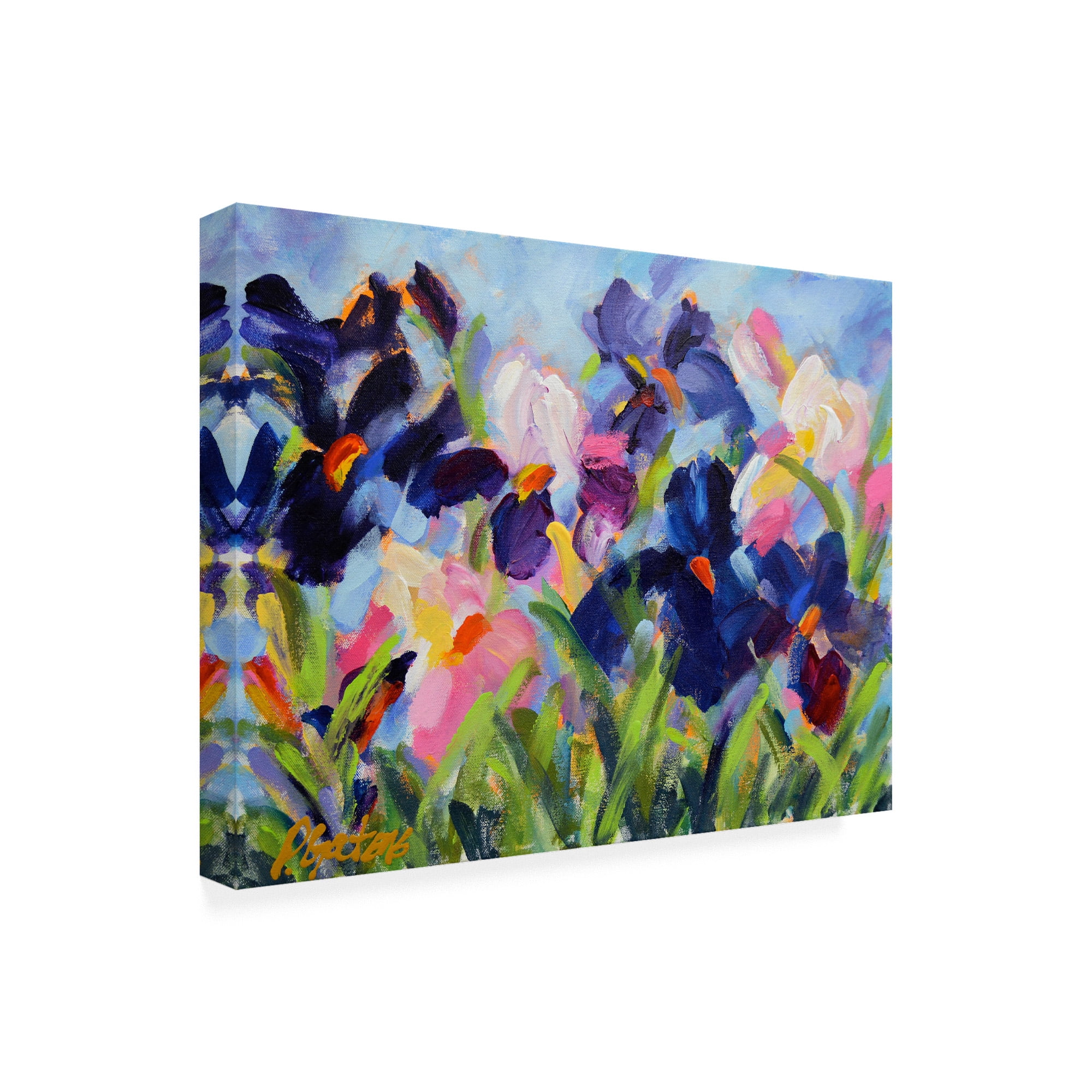 Trademark Fine Art 'The Iris Show' Canvas Art by Pamela Gaten