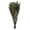 Natural, variant on Vickerman 16-22" Natural Cotton Phylica Flower, 4-5 oz Bundle, Preserved